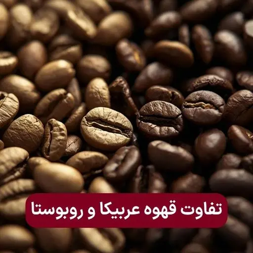 تفاوت قهوه عربیکا و روبوستا