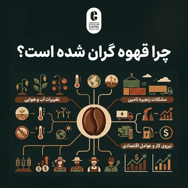 شد؟ تحلیل علت افزایش قیمت قهوه در سال 1405