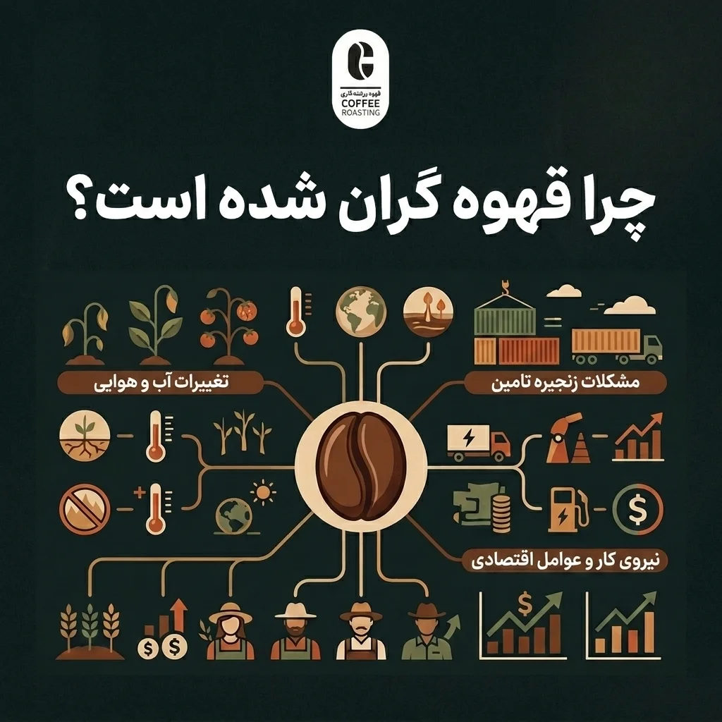 شد؟ تحلیل علت افزایش قیمت قهوه در سال 1405